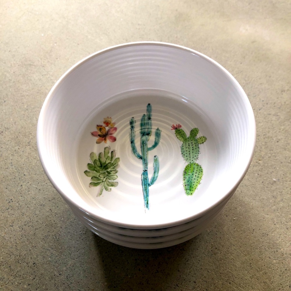 TarHong Cactus Pet Bowl